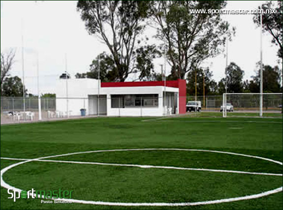Campo de pasto sintetico Fut 7 La Pasion