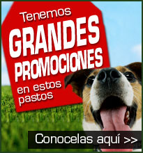 Tenemos Grandes Promociones en estos pastos, conocelas aquí