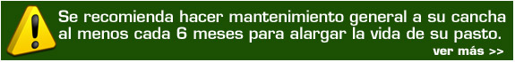 Mantenimiento Canchas de Pasto sintetico