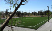 Futbol 7
