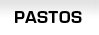 Pastos Sinteticos