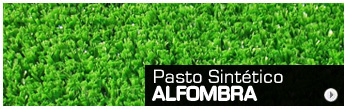 Pasto Alfombra